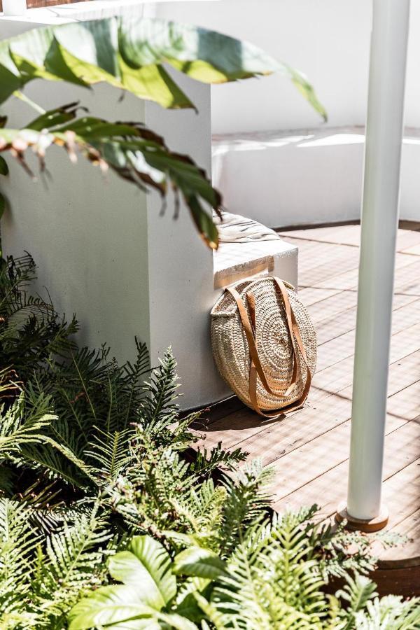 The Bungalows At Bondi Sydney Esterno foto