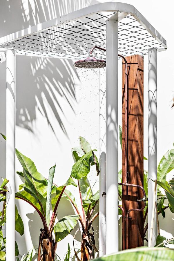 The Bungalows At Bondi Sydney Esterno foto
